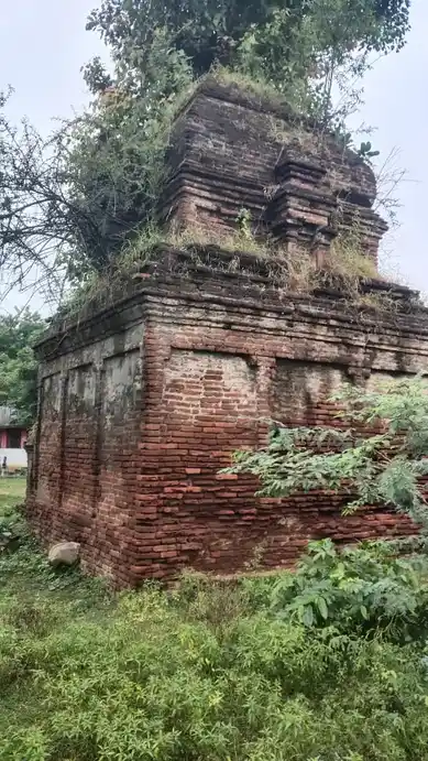 Arulmigu Chenbagapilayar Temple, Kankayamnagar - 610604