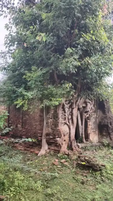 Arulmigu Chenbagapilayar Temple, Kankayamnagar - 610604 அருள்மிகு செண்பகபிள்ளையார் திருக்கோயில், Kankayamnagar - 610604, Thiruvarur - Ancient Temple Architecture and History Image 3