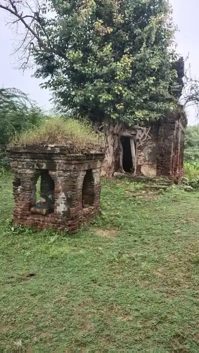 Arulmigu Chenbagapilayar Temple, Kankayamnagar - 610604 அருள்மிகு செண்பகபிள்ளையார் திருக்கோயில், Kankayamnagar - 610604, Thiruvarur - Ancient Temple Architecture and History Image 5