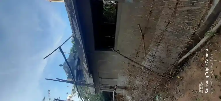 Arulmigu Chengazhuneer Pillaiyar Temple, Poothangudi - 609204 அருள்மிகு செங்கழுநீர் பிள்ளையார் திருக்கோயில், Poothangudi - 609204, Mayiladuthurai - Ancient Temple Architecture and History Image 2