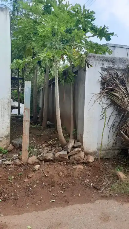 Arulmigu Chennakesava And Lakshmi Narayanaperumal Temple, Annandapatti - 635601