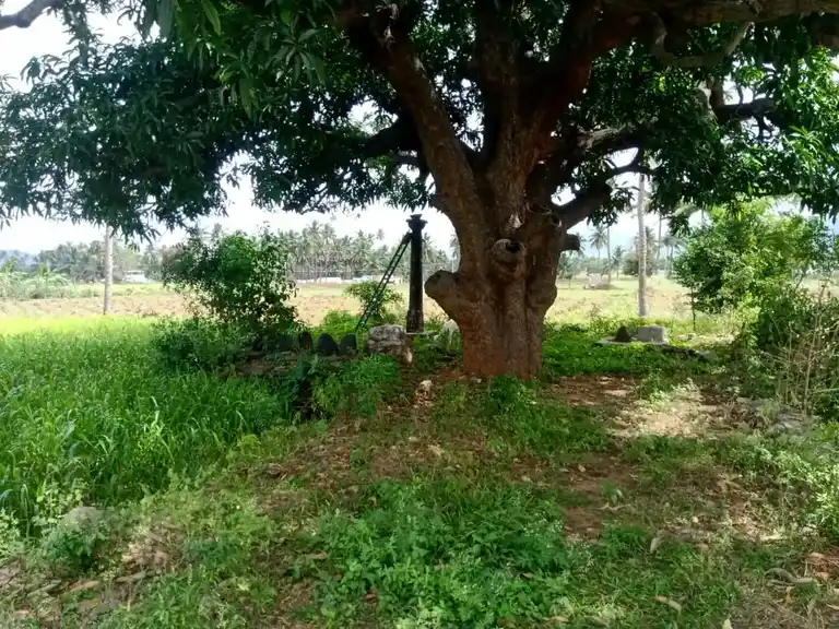 Arulmigu Chennakesavaperumal Temple, Mangalapuram - 636202