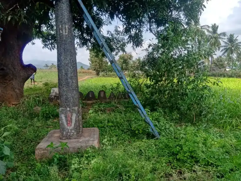 Arulmigu Chennakesavaperumal Temple, Mangalapuram - 636202 அருள்மிகு சென்ன கேசவப் பெருமாள் திருக்கோயில், Mangalapuram - 636202, Namakkal - Ancient Temple Architecture and History Image 2