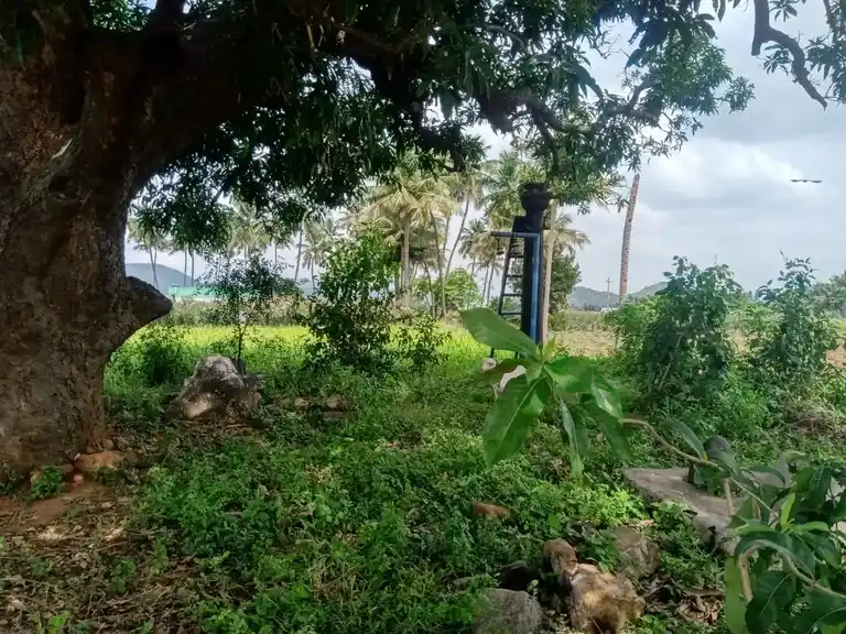 Arulmigu Chennakesavaperumal Temple, Mangalapuram - 636202 அருள்மிகு சென்ன கேசவப் பெருமாள் திருக்கோயில், Mangalapuram - 636202, Namakkal - Ancient Temple Architecture and History Image 3