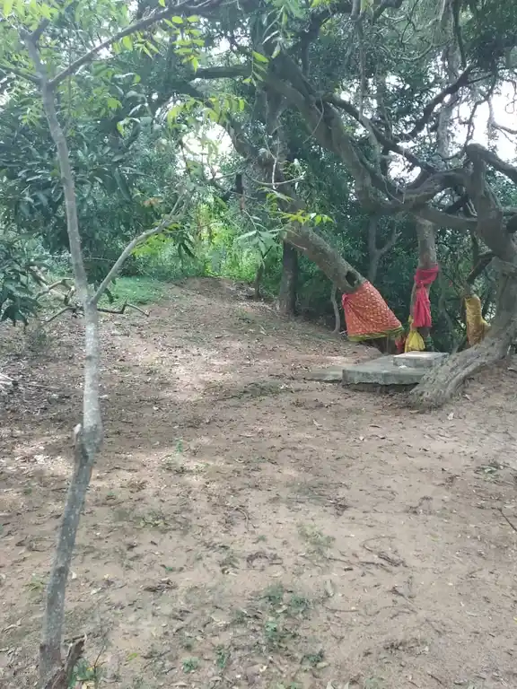 Arulmigu Cherithala Sastha Temple, Aloor - 629801 Arulmigu Cherithala Sastha Temple, Aloor - 629801, Kanyakumari - Ancient Temple Architecture and History Image 3