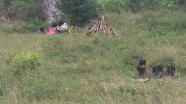 Arulmigu Chettikathaayyanar Temple, Namankunam - 621714