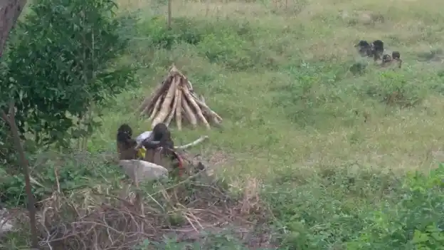 Arulmigu Chettikathaayyanar Temple, Namankunam - 621714 அருள்மிகு செட்டிக்காத்தஅய்யனார் திருக்கோயில், Namankunam - 621714, Ariyalur - Ancient Temple Architecture and History Image 3