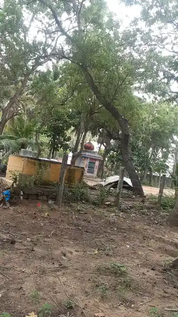 Arulmigu Chidambareswarar Temple, Agasteeswaram - 629701 அருள்மிகு சிதம்பரேஸ்வரர் திருக்கோயில், Agasteeswaram - 629701, Kanyakumari - Ancient Temple Architecture and History Image 2