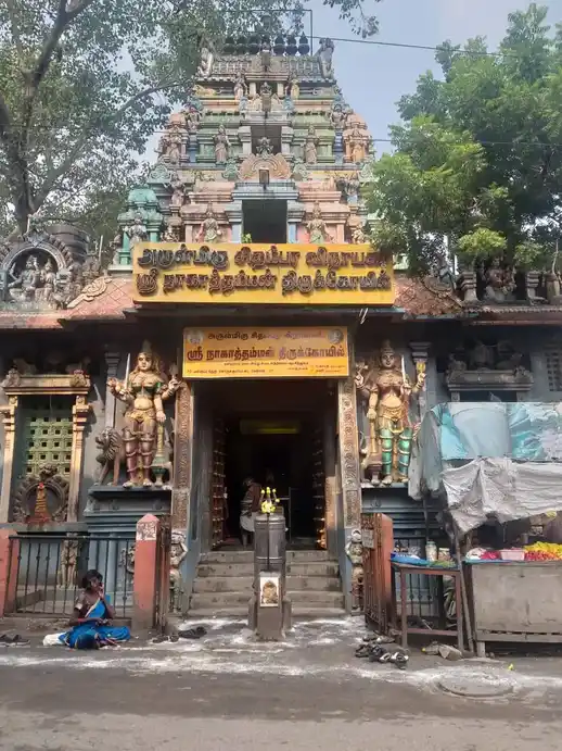 Arulmigu Chimbaravinayagar Nagathamman Temple, Old Washermentpet, Chennai - 600021 அருள்மிகு சிதம்பர விநாயகர் மற்றும் நாகாத்தம்மன் திருக்கோயில், பழைய வண்ணாரப்பேட்டை, சென்னை - 600021, Chennai - Ancient Temple Architecture and History Image 3