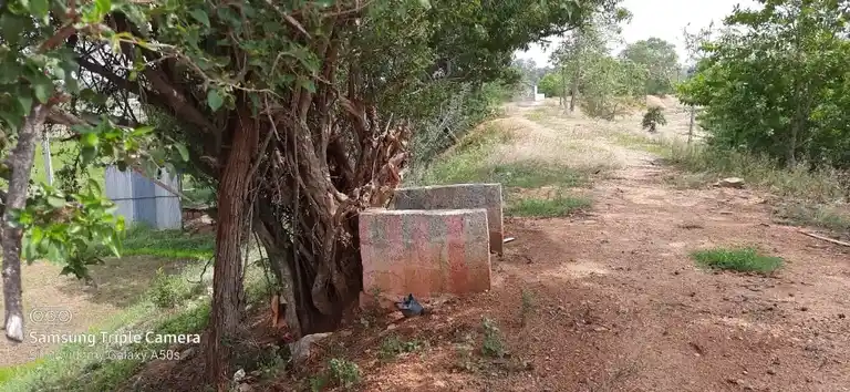 Arulmigu Chinnagoundan Kulam Kannimaar Temple, Chinnagoundankulam - 624706 அருள்மிகு சின்னகவுண்டன் குளம் கன்னிமார் திருக்கோயில், Chinnagoundankulam - 624706, Dindigul - Ancient Temple Architecture and History Image 5