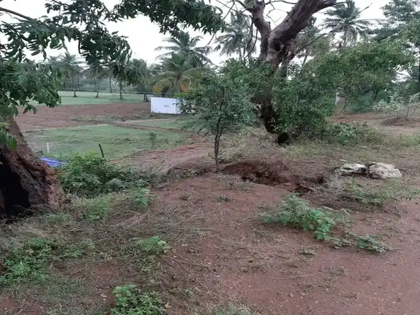 Arulmigu Chinnakulam Kannimaar Temple, Chinnakulam - 624706 அருள்மிகு சின்னக்குளம் கன்னிமார் திருக்கோயில், Chinnakulam - 624706, Dindigul - Ancient Temple Architecture and History Image 2