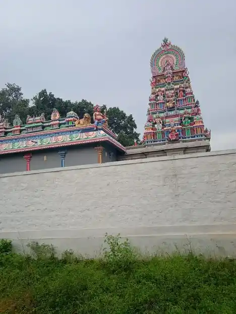 Arulmigu Chinnaman Periyamman Temple, Annur - 641653 அருள்மிகு சின்னம்மன் மற்றும் பெரியம்மன் திருக்கோயில், Annur - 641653, Coimbatore - Ancient Temple Architecture and History Image 3