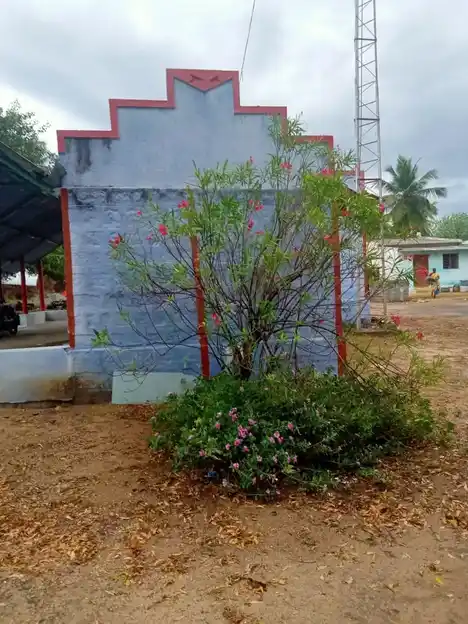 Arulmigu Chinnamariamman Temple, Irugalur - 637103