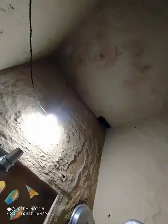 Arulmigu Chinnamariamman Temple, Salem - 636001 அருள்மிகு சின்னமாரியம்மன் திருக்கோயில், சேலம் - 636001, Salem - Ancient Temple Architecture and History Image 7