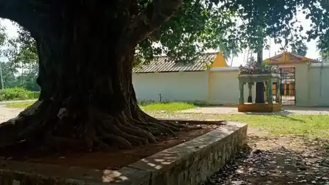 Arulmigu Chinnamman Nattarayasamy Temple, Koorapalayam, Perundurai, Perundurai - 638052 அருள்மிகு சின்னம்மன் நாட்ராயசாமி திருக்கோயில், கூரப்பாளையம், பெருந்துறை,, Perundurai - 638052, Erode - Ancient Temple Architecture and History Image 5