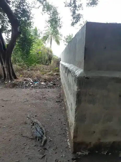 Arulmigu Chinnayyaswamy Temple, Pandagapadi - 621117 Arulmigu Chinnayyaswamy Temple, Pandagapadi - 621117, Perambalur - Ancient Temple Architecture and History Image 3