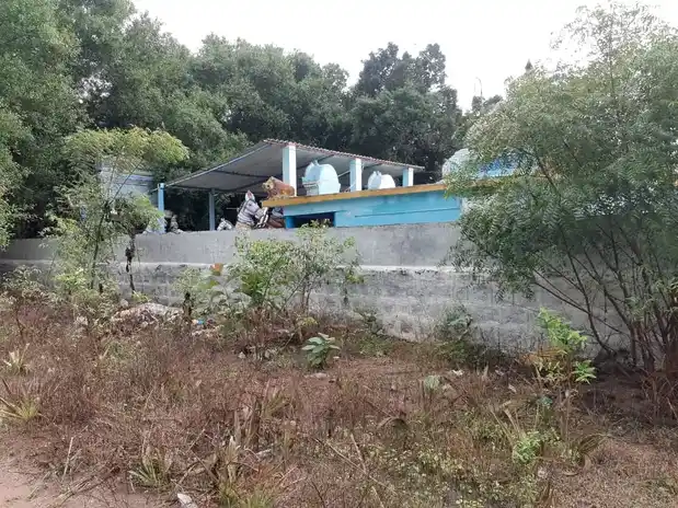 Arulmigu Chinnayyaswamy Temple, Pandagapadi - 621117 Arulmigu Chinnayyaswamy Temple, Pandagapadi - 621117, Perambalur - Ancient Temple Architecture and History Image 4