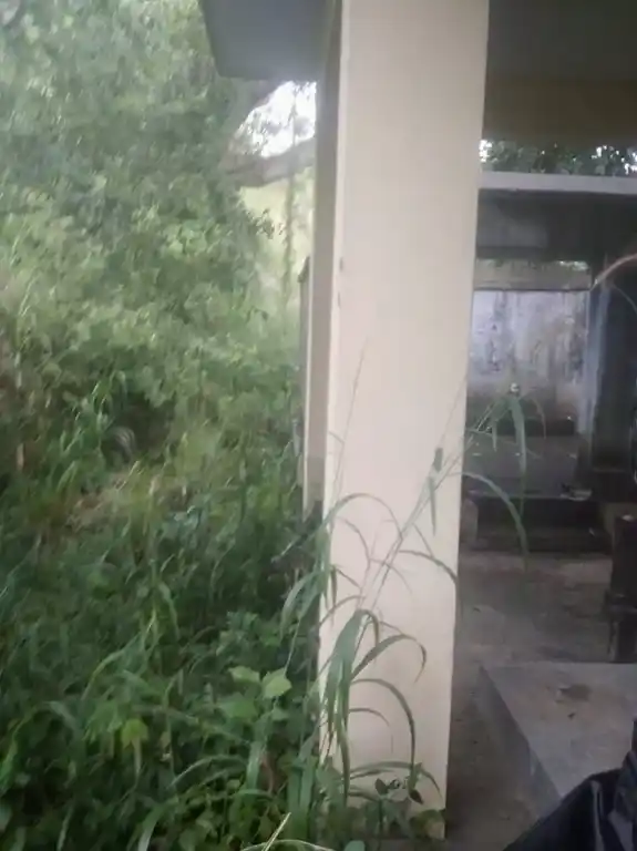 Arulmigu Chirakkonam Sastha Temple, Chirakkonam, Padmanabhapuram - 629175 Arulmigu Chirakkonam Sastha Temple, Chirakkonam, Padmanabhapuram - 629175, Kanyakumari - Ancient Temple Architecture and History Image 3