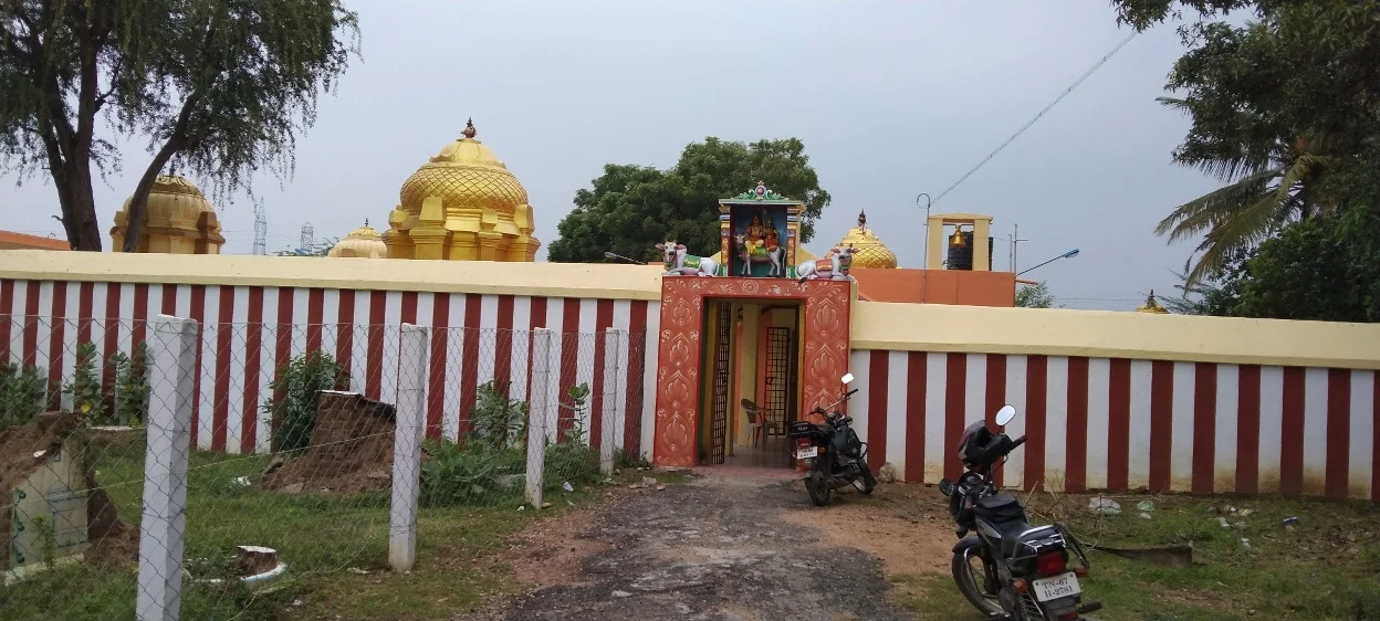 Arulmigu Chithabareshwar Lashminarayanaswamy Temple, Saliyamangalam - 614205 அருள்மிகு சிதம்பரேஸ்வரர் மற்றும் லெட்சுமிநாராயணப்பெருமாள் திருக்கோயில், Saliyamangalam - 614205, Thanjavur - Ancient Temple Architecture and History Image 10