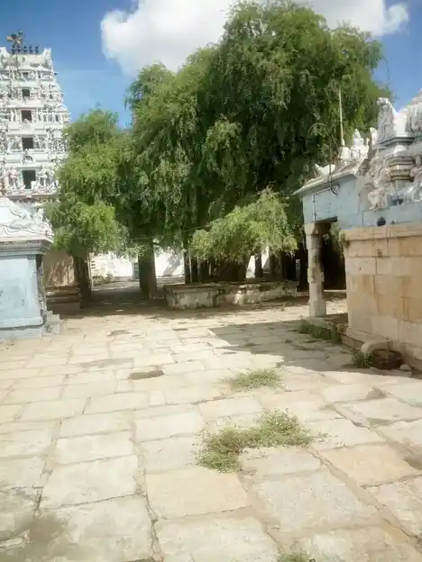 Arulmigu Chithambaraswarar and Kulunthalamman Temples, Lalgudi - 621711 அருள்மிகு சிதம்பரேஸ்வரர் மற்றும் குலுந்தாலம்மன் திருக்கோயில், லால்குடி - 621711, Thiruchirappalli - Ancient Temple Architecture and History Image 3