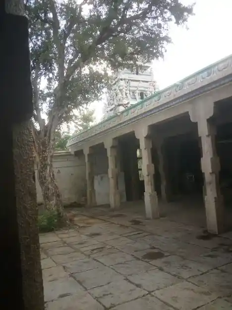 Arulmigu Chithambaraswarar and Kulunthalamman Temples, Lalgudi - 621711 அருள்மிகு சிதம்பரேஸ்வரர் மற்றும் குலுந்தாலம்மன் திருக்கோயில், லால்குடி - 621711, Thiruchirappalli - Ancient Temple Architecture and History Image 8