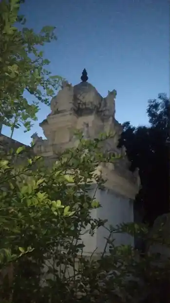 Arulmigu Chithambareshvarar Temple, Enanallur - 612602 அருள்மிகு சிதம்பரேஸ்வரர் திருக்கோயில், Enanallur - 612602, Thanjavur - Ancient Temple Architecture and History Image 3