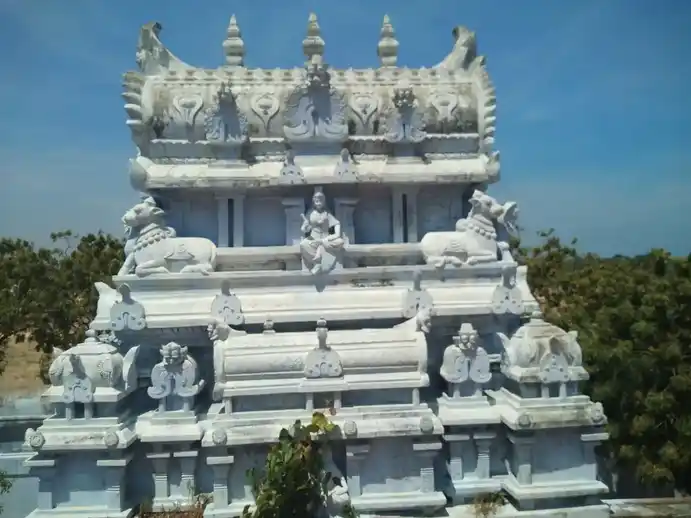 Arulmigu Chithamparaswarar Temple, Kulasekaranpatinam., Kulasekaranpatinam. - 628206 Arulmigu Chithamparaswarar Temple, Kulasekaranpatinam., Kulasekaranpatinam. - 628206, Thoothukudi - Ancient Temple Architecture and History Image 8