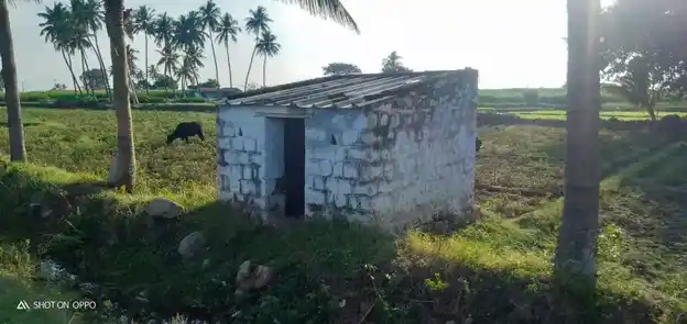 Arulmigu Chithi Vinayakar Temple, Chinnakkampalayam - 638657