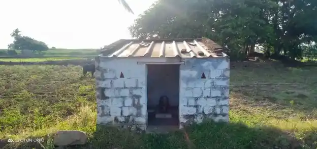 Arulmigu Chithi Vinayakar Temple, Chinnakkampalayam - 638657 சித்திவிநாயகர் திருக்கோயில், Chinnakkampalayam - 638657, Tiruppur - Ancient Temple Architecture and History Image 4