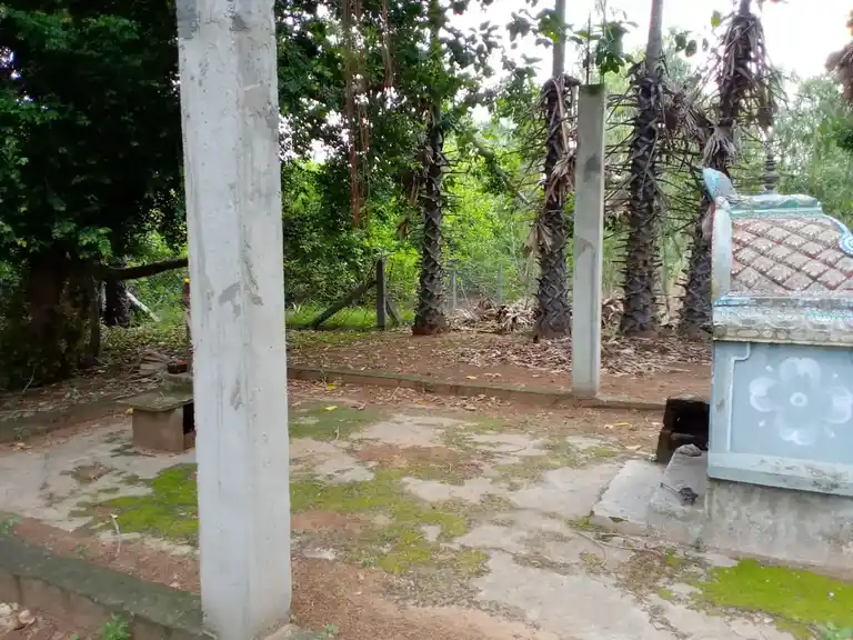 Arulmigu Chithiperumal Veeranar Temple, Nallanayagapuram, Agaravattaram - 609102 Temple