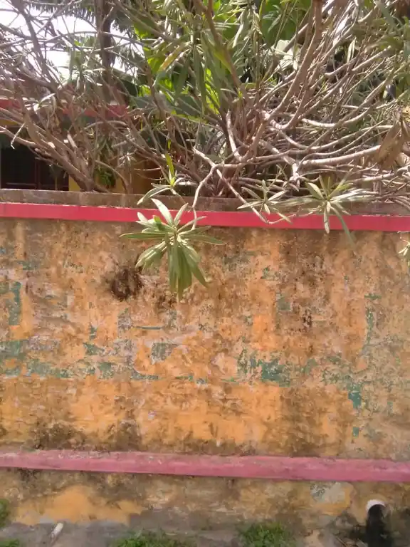 Arulmigu Chokanathakalakutti Madam Pillaiyar Temple, Parakai - 629601