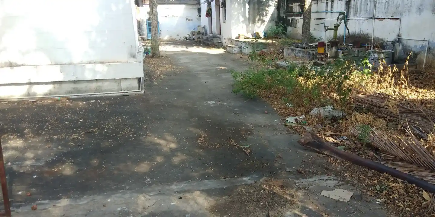 Arulmigu Chokkalingaswamy Temple, Adaichani - 627413 அருள்மிகு சொக்கலிங்கசுவாமி திருக்கோயில், Adaichani - 627413, Tenkasi - Ancient Temple Architecture and History Image 9