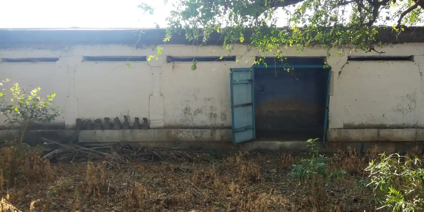 Arulmigu Chokkalingaswamy Temple, Adaichani - 627413 அருள்மிகு சொக்கலிங்கசுவாமி திருக்கோயில், Adaichani - 627413, Tenkasi - Ancient Temple Architecture and History Image 11