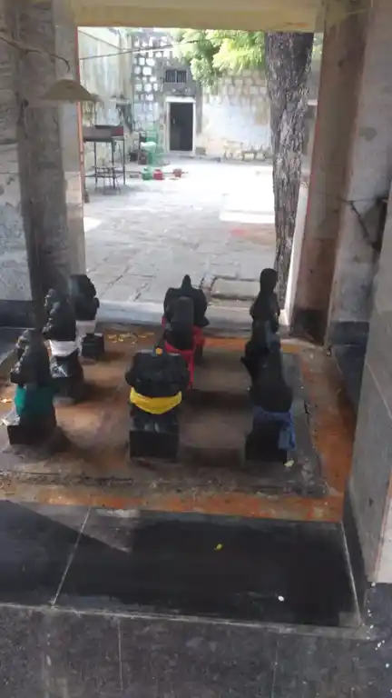 Arulmigu Chokkalingaswamy Temple, Vembakottai, Vembakottai - 626131 அருள்மிகு சொக்கலிங்கசுவாமி திருக்கோயில், வெம்பக்கோட்டை, வெம்பக்கோட்டை நகர் - 626131, Virudhunagar - Ancient Temple Architecture and History Image 6