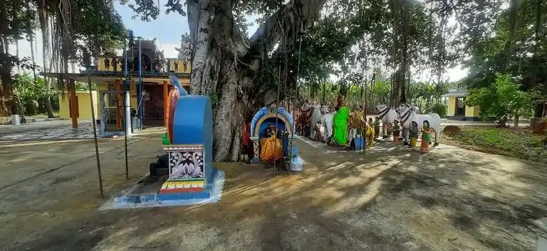 Arulmigu Chokkanachiyamman Temple, Kesarimangalam - 638311 அருள்மிகு சொக்கநாச்சியம்மன் திருக்கோயில், Kesarimangalam - 638311, Erode - Ancient Temple Architecture and History Image 5