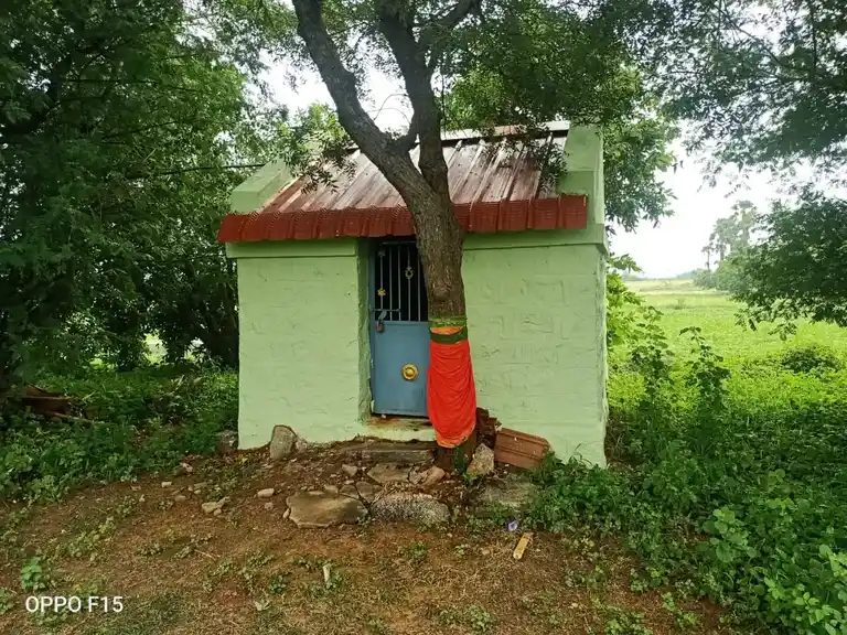 Arulmigu Chokkanathapuram Sundhariamman Temple, Chokkanathapuram - 624620