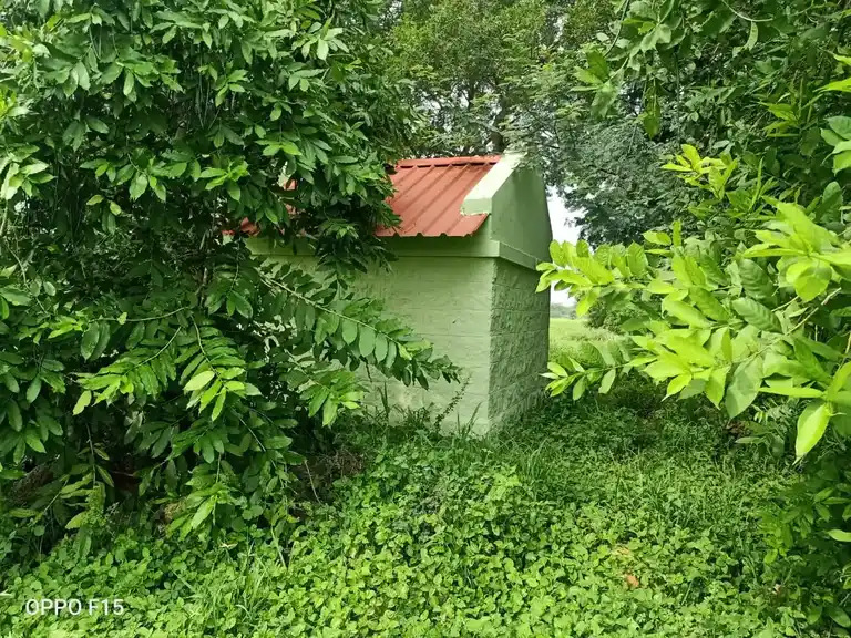 Arulmigu Chokkanathapuram Sundhariamman Temple, Chokkanathapuram - 624620 அருள்மிகு சொக்கநாதபுரம் சுந்தரியம்மன் கோயில், Chokkanathapuram - 624620, Dindigul - Ancient Temple Architecture and History Image 3