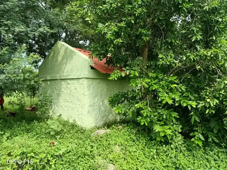 Arulmigu Chokkanathapuram Sundhariamman Temple, Chokkanathapuram - 624620 அருள்மிகு சொக்கநாதபுரம் சுந்தரியம்மன் கோயில், Chokkanathapuram - 624620, Dindigul - Ancient Temple Architecture and History Image 4