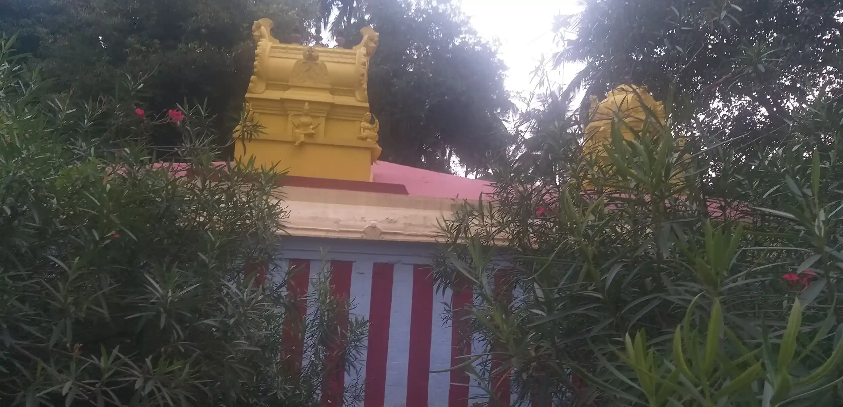 Arulmigu Chokkanathaswamy Temple, Peruvilai, Peruvilai, Nagercoil - 629002 Arulmigu Chokkanathaswamy Temple, Peruvilai, Peruvilai, Nagercoil - 629002, Kanyakumari - Ancient Temple Architecture and History Image 4