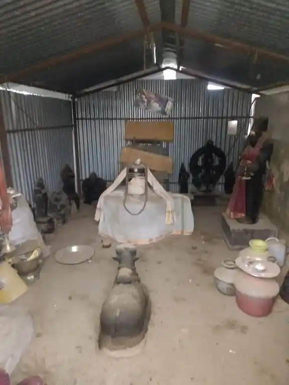 Arulmigu Choleswarar Temple, Kaduvanoor - 605801 அருள்மிகு சோலீஸ்வரர் திருக்கோயில், கடுவனூர் - 605801, Kallakurichi - Ancient Temple Architecture and History Image 3