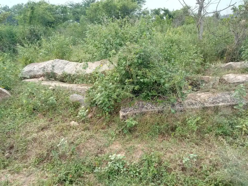 Arulmigu Choleswararmudaiyar Temple, Vathanakuruchi, Kulathur Taluk - 622504 அருள்மிகு சோழீஸ்வரமுடையார் திருக்கோயில், வத்தனாக்குறிச்சி, குளத்தூர் வட்டம் - 622504, Pudukkottai - Ancient Temple Architecture and History Image 7