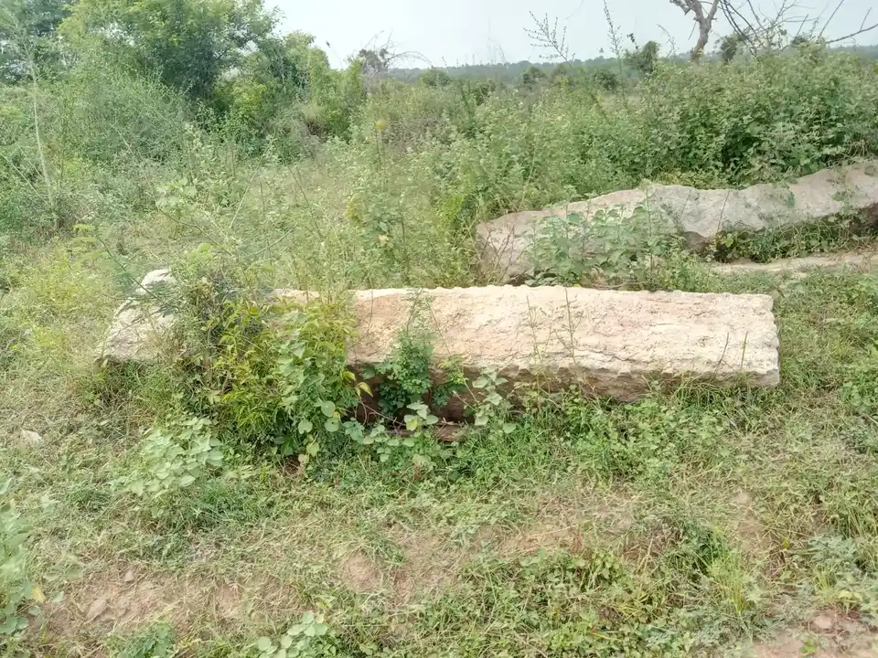 Arulmigu Choleswararmudaiyar Temple, Vathanakuruchi, Kulathur Taluk - 622504 அருள்மிகு சோழீஸ்வரமுடையார் திருக்கோயில், வத்தனாக்குறிச்சி, குளத்தூர் வட்டம் - 622504, Pudukkottai - Ancient Temple Architecture and History Image 8