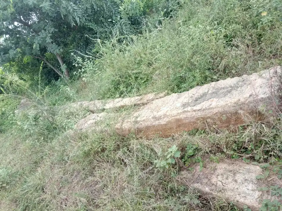 Arulmigu Choleswararmudaiyar Temple, Vathanakuruchi, Kulathur Taluk - 622504 அருள்மிகு சோழீஸ்வரமுடையார் திருக்கோயில், வத்தனாக்குறிச்சி, குளத்தூர் வட்டம் - 622504, Pudukkottai - Ancient Temple Architecture and History Image 9