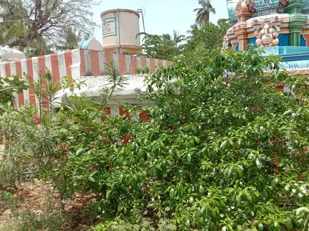 Arulmigu Chowkapillyar Temple, Thiruchirappalli - 639101 Arulmigu ChowkaPillyar Temple, Thiruchirappalli - 639101, Thiruchirappalli - Ancient Temple Architecture and History Image 5