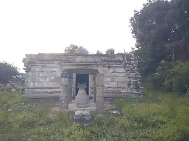 Arulmigu Chozhiswarar Temple, Koogaiyur - 606301 அருள்மிகு சோழீஸ்வரர் திருக்கோயில், கூகையூர் - 606301, Kallakurichi - Ancient Temple Architecture and History Image 2