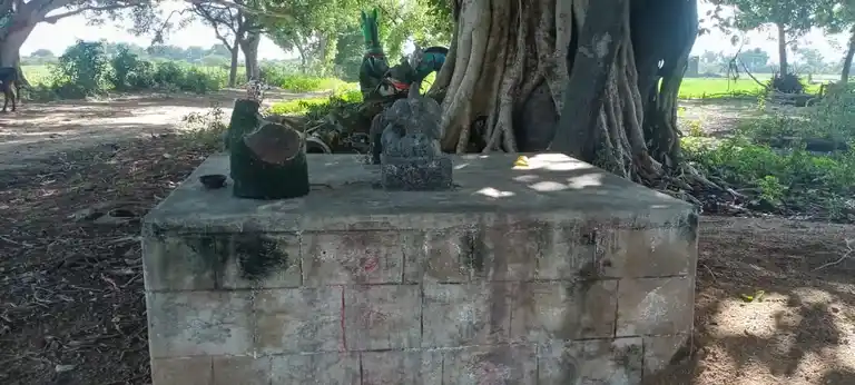 Arulmigu Cinna Seguttu Ayyanar Temple, Vandari - 625705