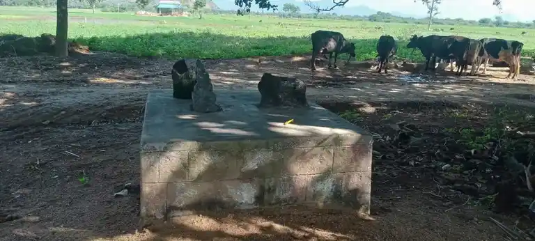 Arulmigu Cinna Seguttu Ayyanar Temple, Vandari - 625705 அருள்மிகு சின்ன செகுட்டய்யனார் திருக்கோயில், Vandari - 625705, Madurai - Ancient Temple Architecture and History Image 5