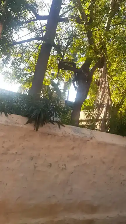 Arulmigu Cithira Vinayagar Ambalavanaswamy Temple, Kakkamoor, Suchindrum - 629704