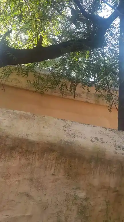 Arulmigu Cithira Vinayagar Ambalavanaswamy Temple, Kakkamoor, Suchindrum - 629704 அருள்மிகு சித்தரவிநாயகர் அம்பலவாணசாமி திருக்கோயில், Kakkamoor, Suchindrum - 629704, Kanyakumari - Ancient Temple Architecture and History Image 4