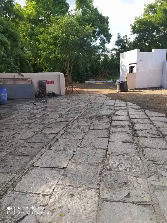 Arulmigu Daduthandanadhar Temple, Thaiyur - 604205 அருள்மிகு தடுத்தாண்டேஸ்வரர் திருக்கோயில், Thaiyur - 604205, Viluppuram - Ancient Temple Architecture and History Image 3